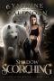 [Shadow Blade 02] • Shadow Scorching